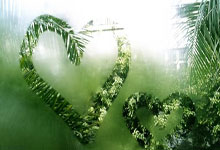 天涯论坛用户id嗨皮的日子！